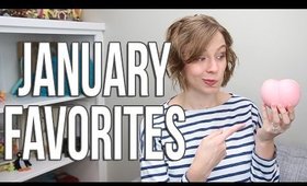 January Favorites | Makeup, Planners, Squishies