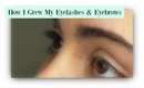 How I Grew My Eyelashes / Eye Brow Hair