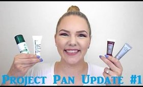 Project 10 Pan: Sample Edition #3 Update #1