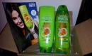 BzzAgent-Garnier Fructis BzzCampaign