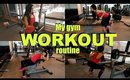 Min styrke treningsrutine  //  My gym workout routine  //  www.stina.blogg.no