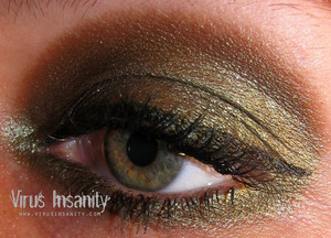 Virus Insanity eyeshadow, Carrion.

www.virusinsanity.com