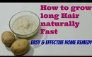 How to grow long hair naturally really fast...!! Potato for hair growth  effective Home remedy