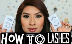 How to apply false lashes!