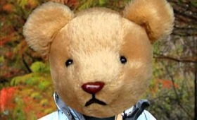 meet my  friend Mr Ted this