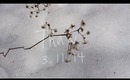Thaw
