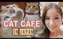 CAT CAFE in JAPAN 猫カフェ♥︎