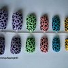 Candy Coloured Leopard