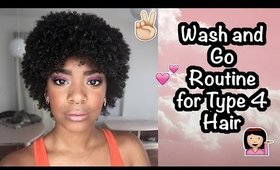 Wash and Go Routine for 4A, 4B and 4C Hair