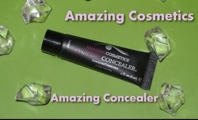 Amazing Cosmetics Concealer Review