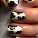 Animal Print - Cow Print Nails!