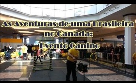 As Aventuras de uma Brasileira no Canada: Evento Canino