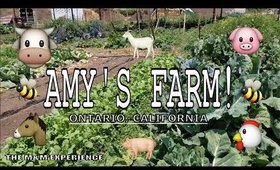 WE TOURED A REAL LIVE FARM! MET A FARMER, PETTING ZOO & FARM TO TABLE!