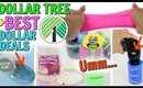 DOLLAR TREE AND BEST DOLLAR DEAL SLIME HAUL!