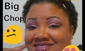 10 Tips For The New Naturalista !  Big Chop Stop Here !!!