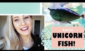 I FOUND A UNICORN FISH! July 22, 2014