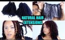 The Most REALISTIC Looking NATURAL HAIR CLIP-IN EXTENSIONS! ⇢ Install & Blend | HerGivenHair