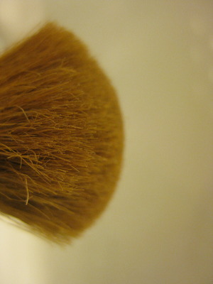 the brush I use to apply powder foundation 