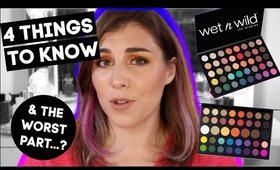 Wet n Wild 40 Palette Review + Swatches | Bailey B.