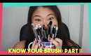 Types & Uses of Brushes: Part II | Beginners