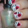 Flowers and Stripes