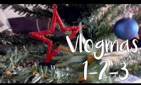VLOGMAS 1-2-3 : Sapin de Noël et petit chat