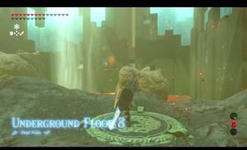 Girl does side quests  in BREATH of THE WILD blindstream Part 63