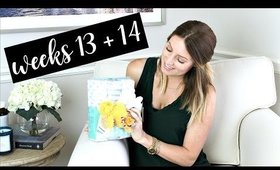 Twin Pregnancy Vlog Weeks 13 + 14 | Kendra Atkins