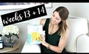 Twin Pregnancy Vlog Weeks 13 + 14 | Kendra Atkins