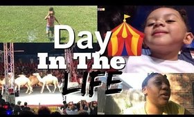 Day In The Life Of A Single Mom | First Time At The Circus