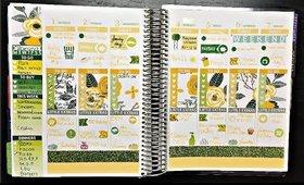 PLAN WITH ME | AUGUST BLOOM | ERIN CONDREN LIFE PLANNER