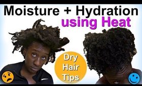 Hydrating & Moisturizing Natural Hair w/ Heat | LOC Method on 4c Hair