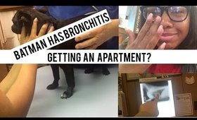 My Dog has Bronchitis & Getting a Apartment!?!