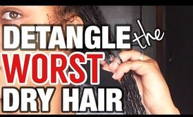 THIS METHOD WILL CHANGE YOUR LIFE!  | how to finger detangle High Porosity Fine Thin Dry Hair