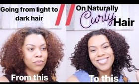 Dying Naturally Curly Hair// Going from Light to Dark