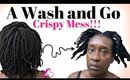 WASH AND GO on 4C Natural Hair | Defined But Crispy Definition