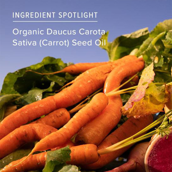 true botanicals deep repair eye serum