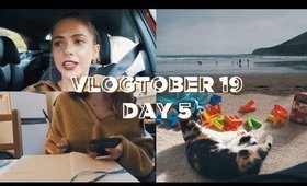 VLOGTOBER 2019 #5: MY STUPID HANDBAG | sunbeamsjess