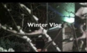 Winter Vlog- OUR FIRST MINI VLOG!