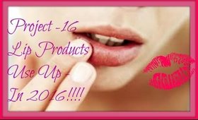 USE 16 LIP PRODUCTS IN 2016|3M CHECK-IN