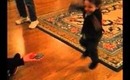 My son dancing to Gangum style :)
