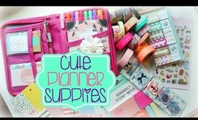 Cute Planner Supplies Haul