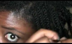 Protective Style: Mini Twists