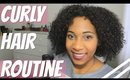 Curly Hair Routine 2016