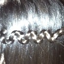 snake braid