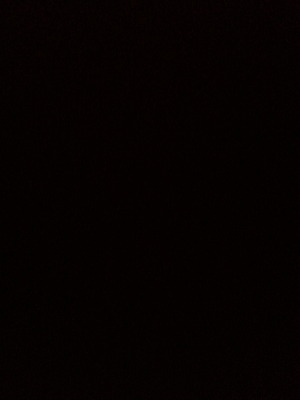 Lusine M.