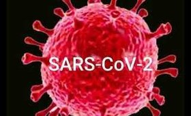 How to stop coronavirus