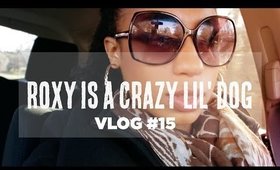 VLOG #15 | Roxy is a CRAZY!
