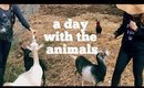 VLOG: VISITING ALOHA ANIMAL SANCTUARY | thefabzilla