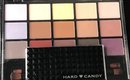 Hard Candy Look Pro Matte eyeshadow pro palette review/Swatches
